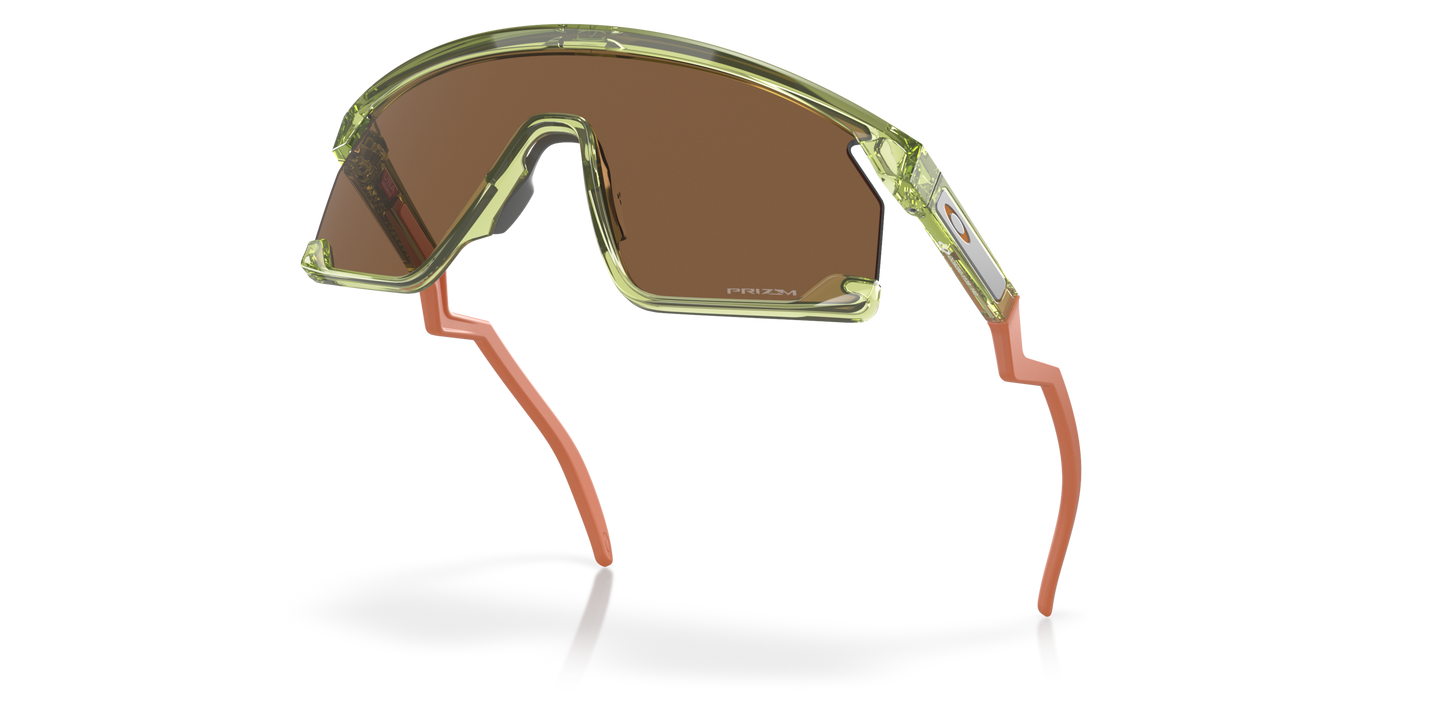[Prizm Bronze Lenses, Transparent Fern Frame]