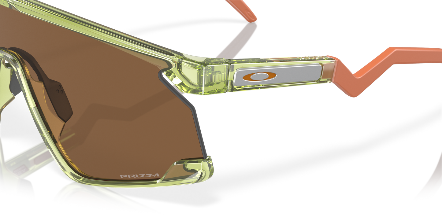[Prizm Bronze Lenses, Transparent Fern Frame]