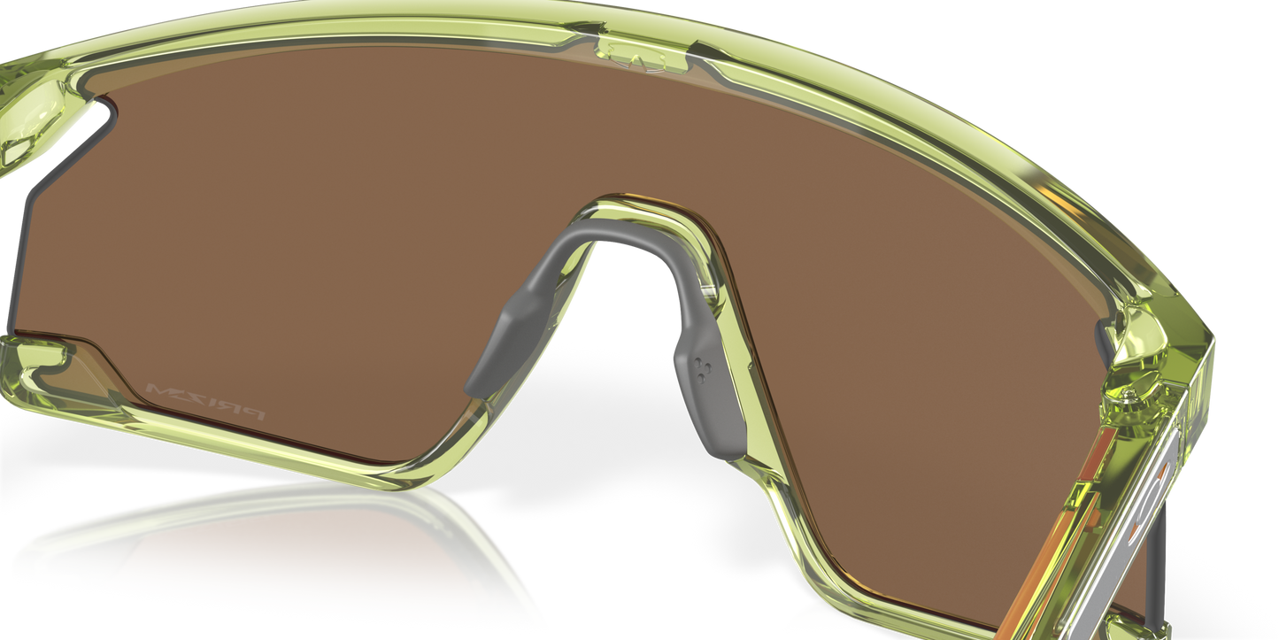 [Prizm Bronze Lenses, Transparent Fern Frame]