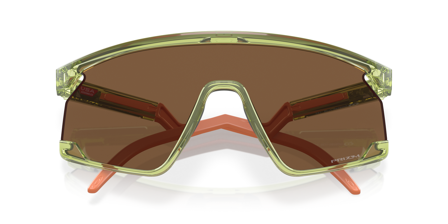 [Prizm Bronze Lenses, Transparent Fern Frame]