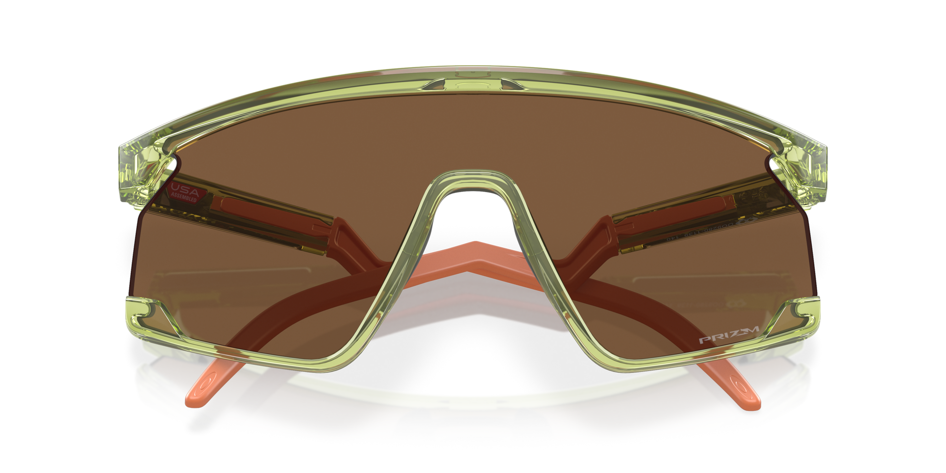 [Prizm Bronze Lenses, Transparent Fern Frame]