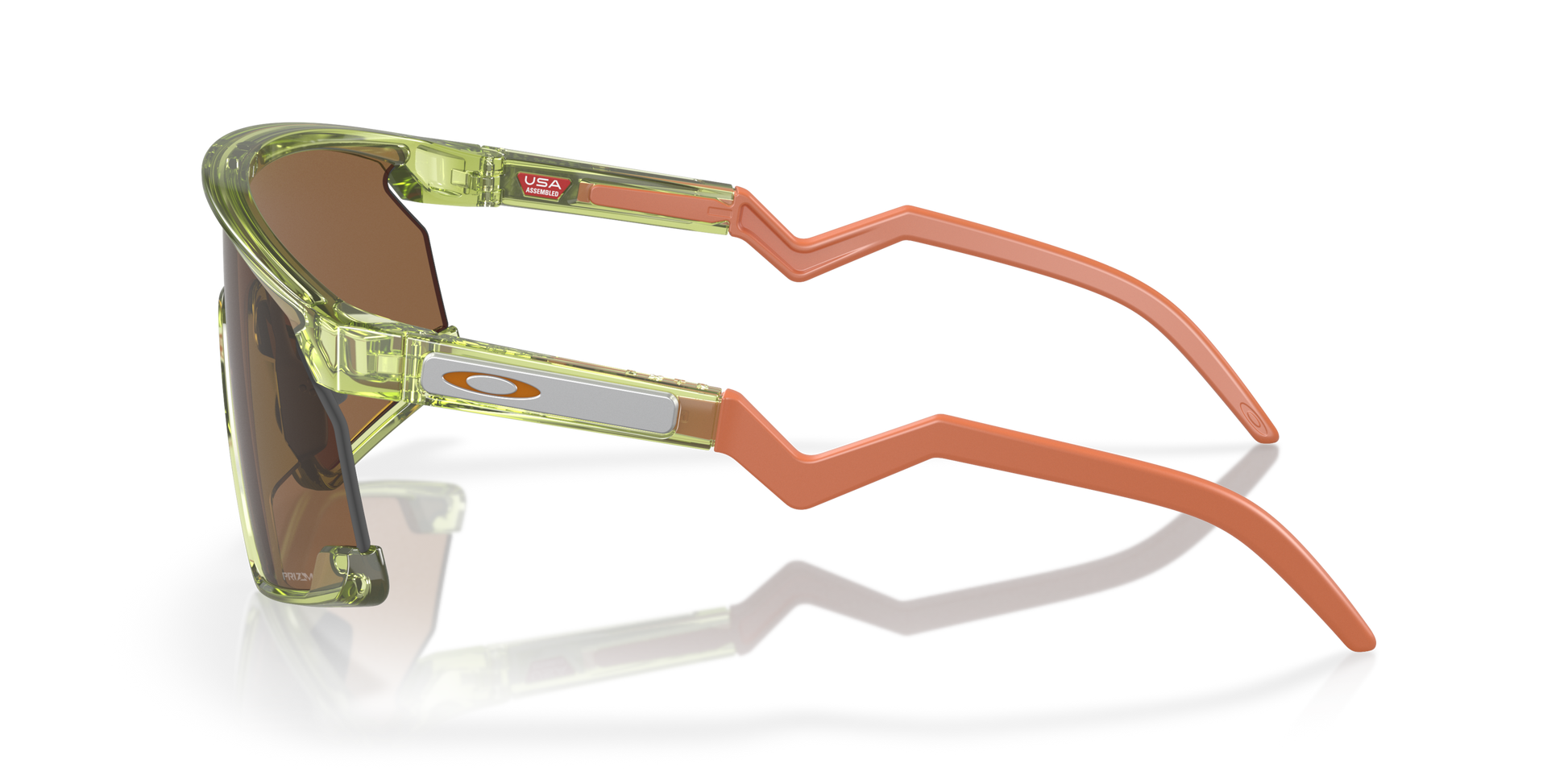 [Prizm Bronze Lenses, Transparent Fern Frame]