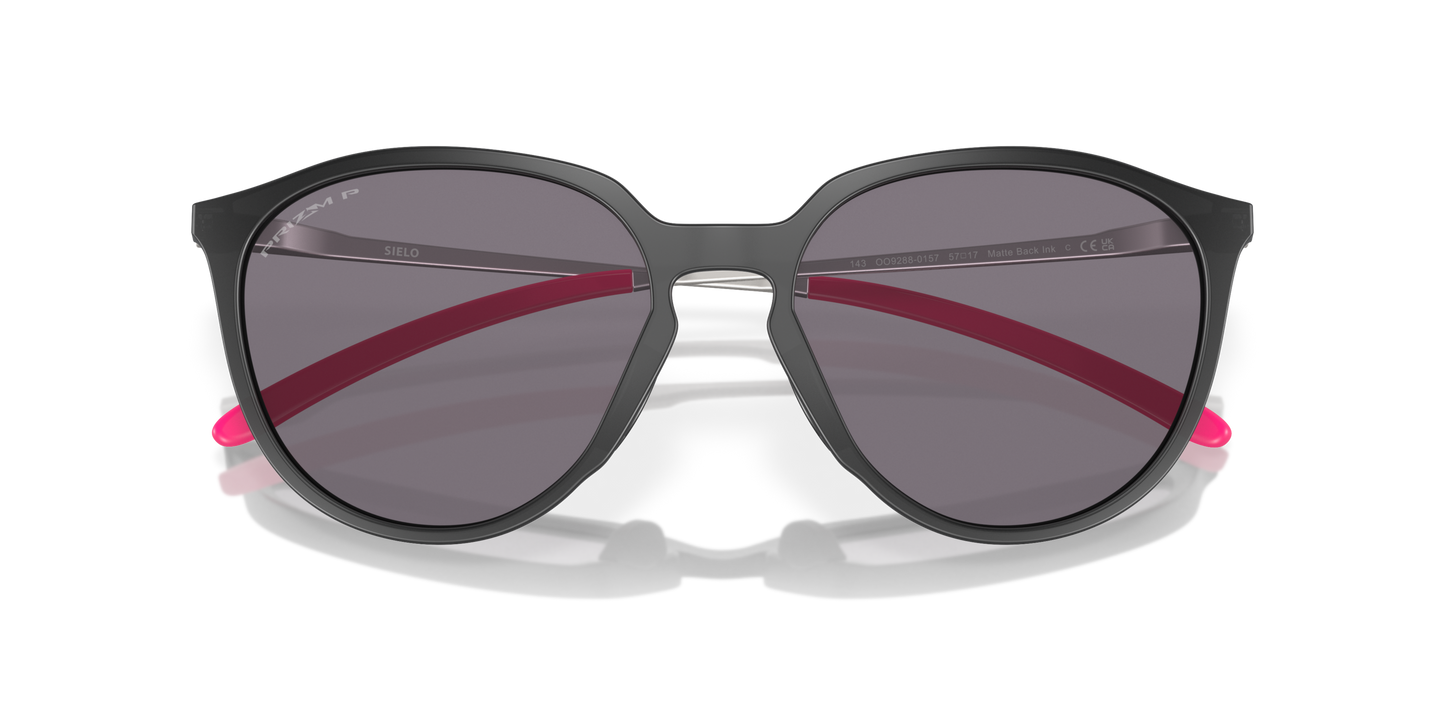 [Prizm Grey Polarized Lenses, Matte Black Ink Frame]
