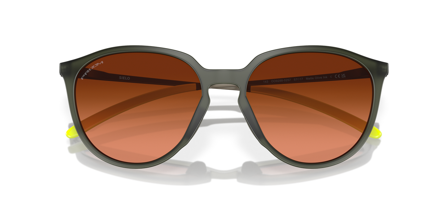 [Prizm Brown Gradient Lenses, Matte Olive Ink Frame]