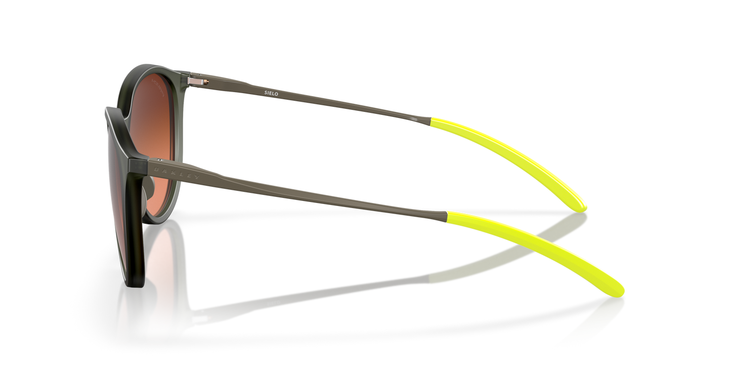 [Prizm Brown Gradient Lenses, Matte Olive Ink Frame]