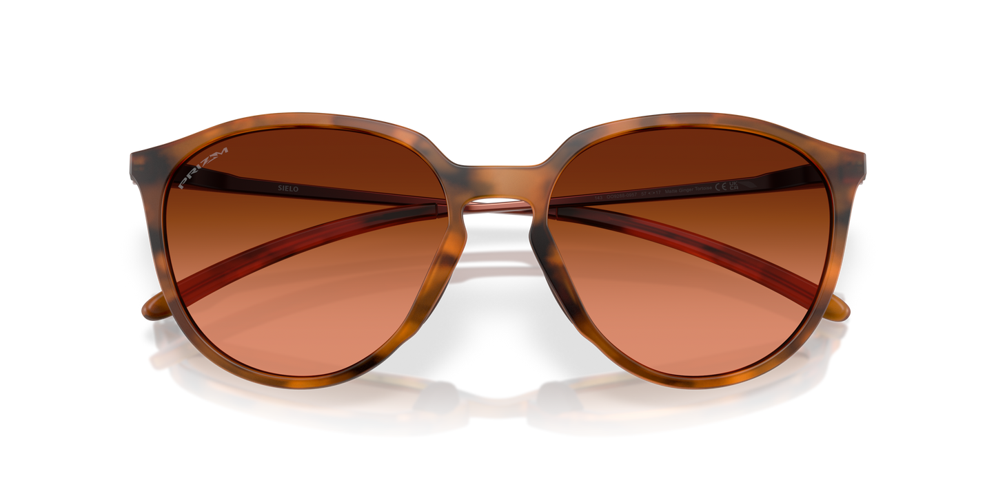 [Prizm Brown Gradient Lenses, Matte Ginger Tortoise Frame]