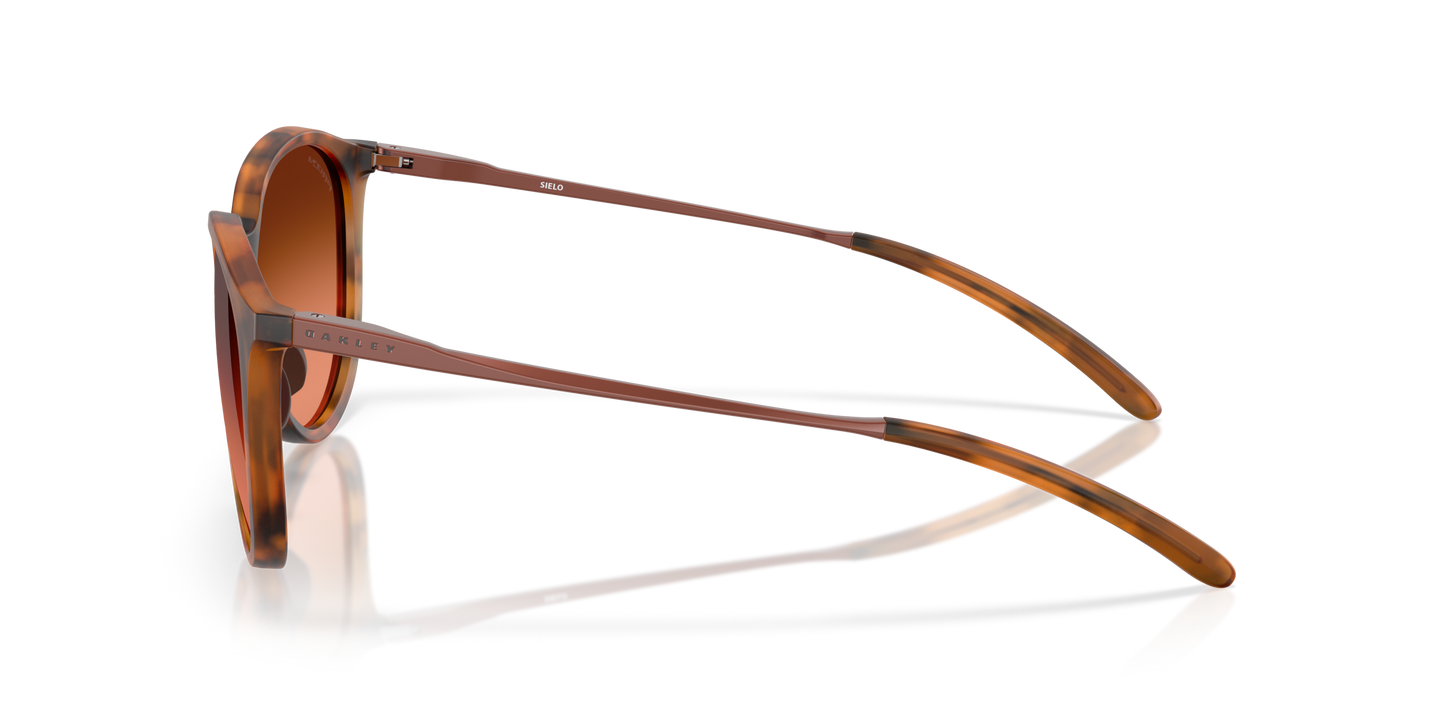 [Prizm Brown Gradient Lenses, Matte Ginger Tortoise Frame]