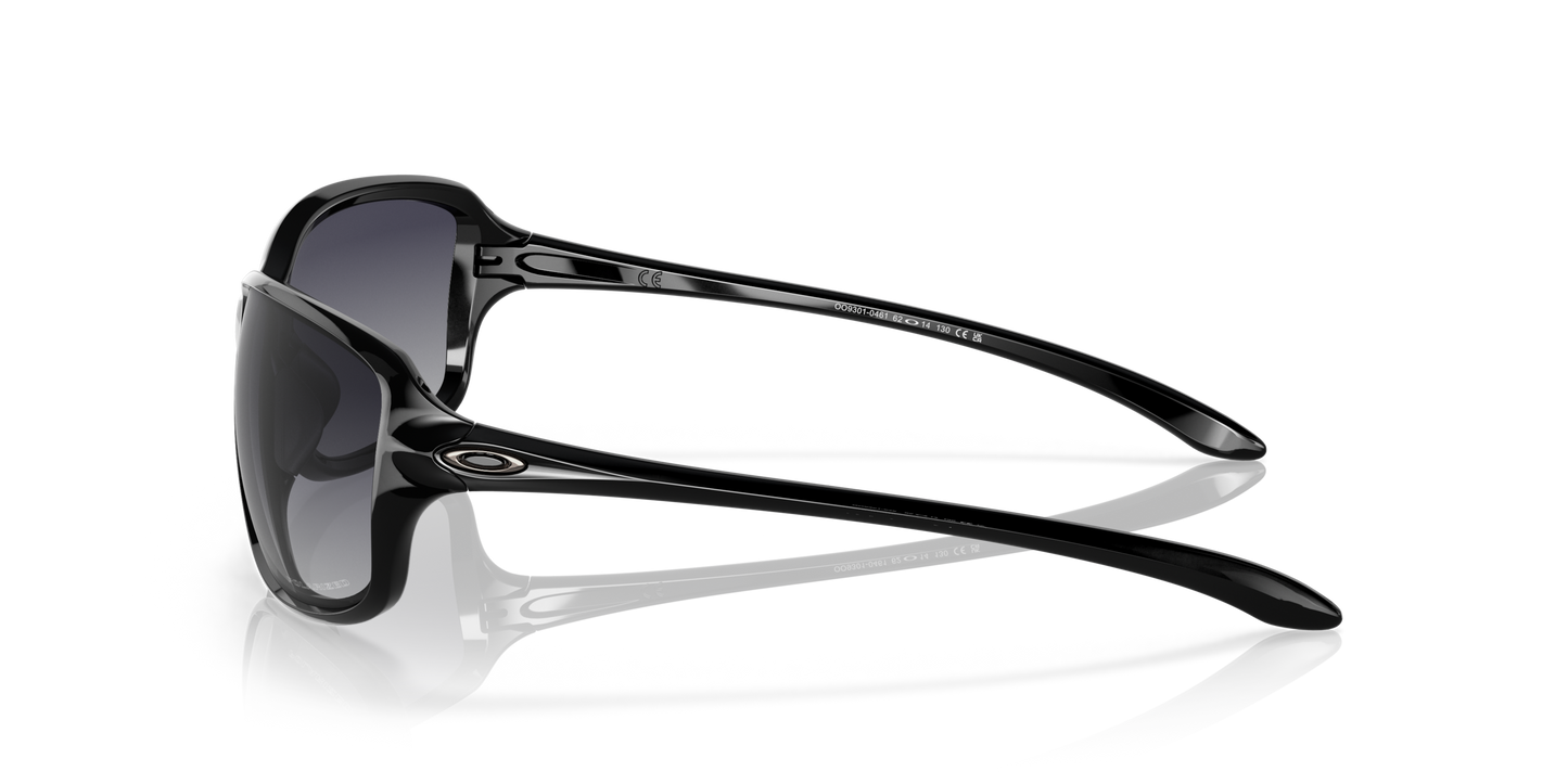 [Grey Gradient Polarized Lenses, Polished Black Frame]