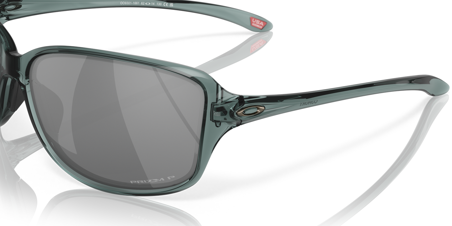 [Prizm Black Polarized Lenses, Crystal Black Frame]