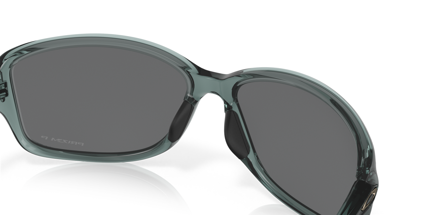 [Prizm Black Polarized Lenses, Crystal Black Frame]