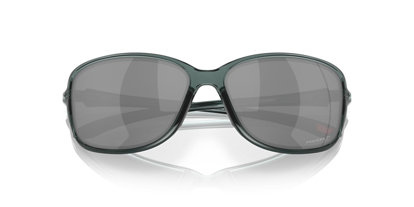 [Prizm Black Polarized Lenses, Crystal Black Frame]