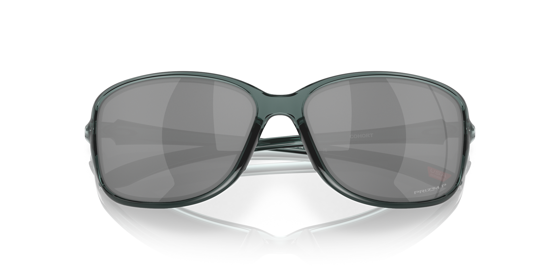 [Prizm Black Polarized Lenses, Crystal Black Frame]