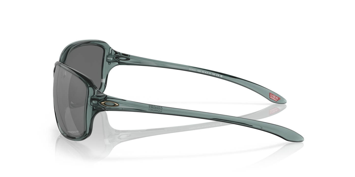 [Prizm Black Polarized Lenses, Crystal Black Frame]