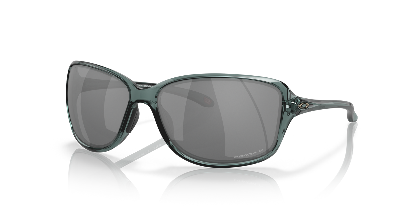 [Prizm Black Polarized Lenses, Crystal Black Frame]