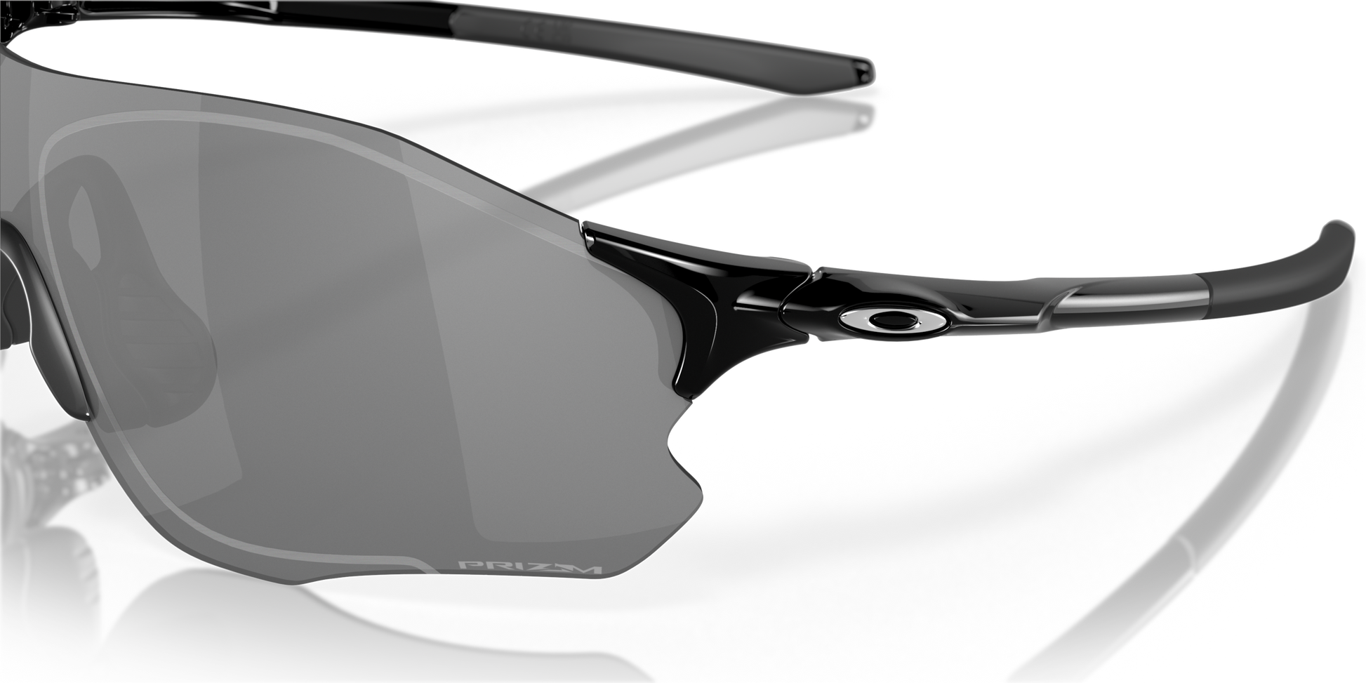 [Prizm Black Lenses, Polished Black Frame]