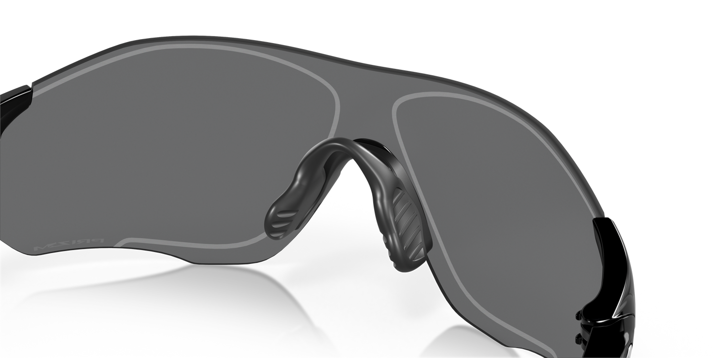 [Prizm Black Lenses, Polished Black Frame]