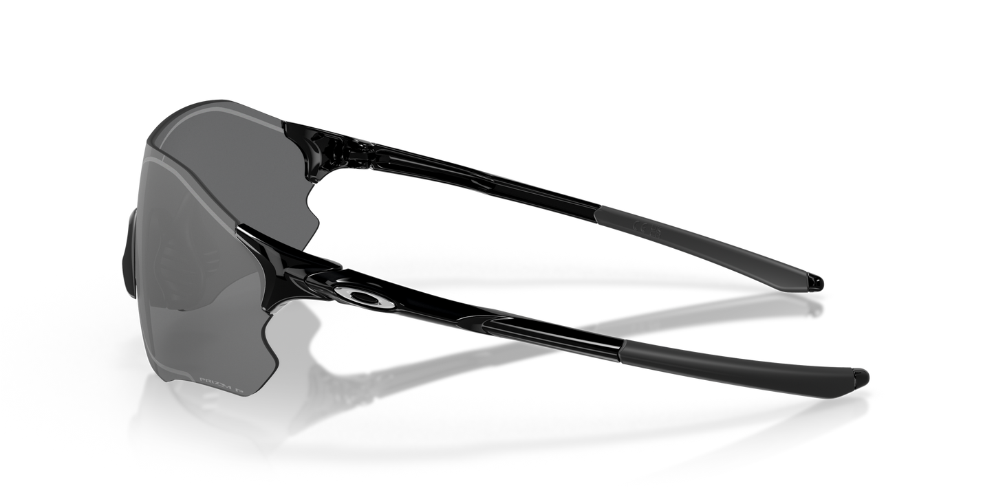 [Prizm Black Polarized Lenses, Polished Black Frame]