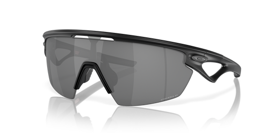 [Prizm Black Polarized Lenses, Matte Black Frame]