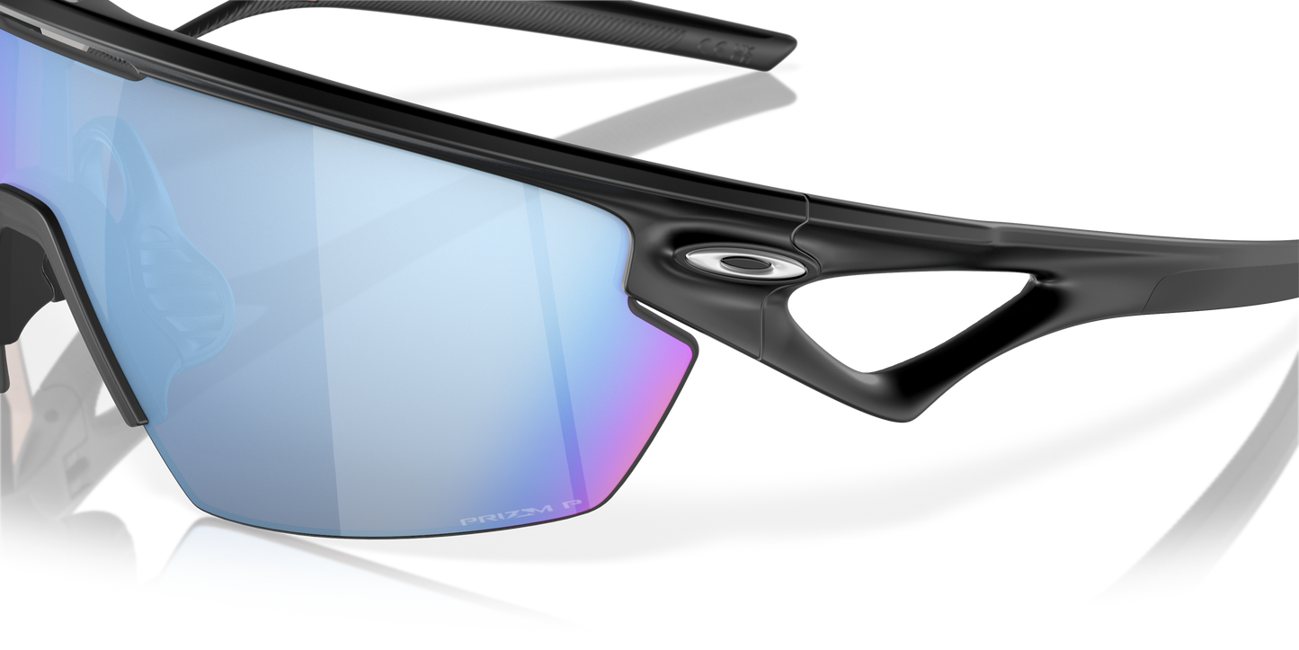 [Prizm Deep Water Polarized Lenses, Matte Black Frame]