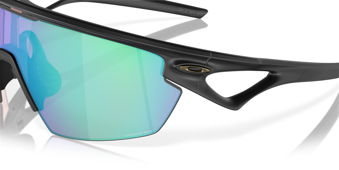 [Prizm Golf Lenses, Matte Black Frame]