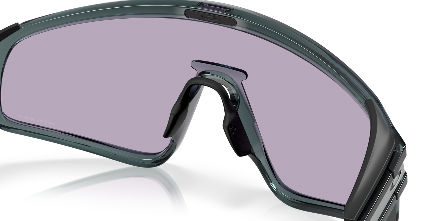 [Prizm Slate Lenses, Crystal Black Frame]