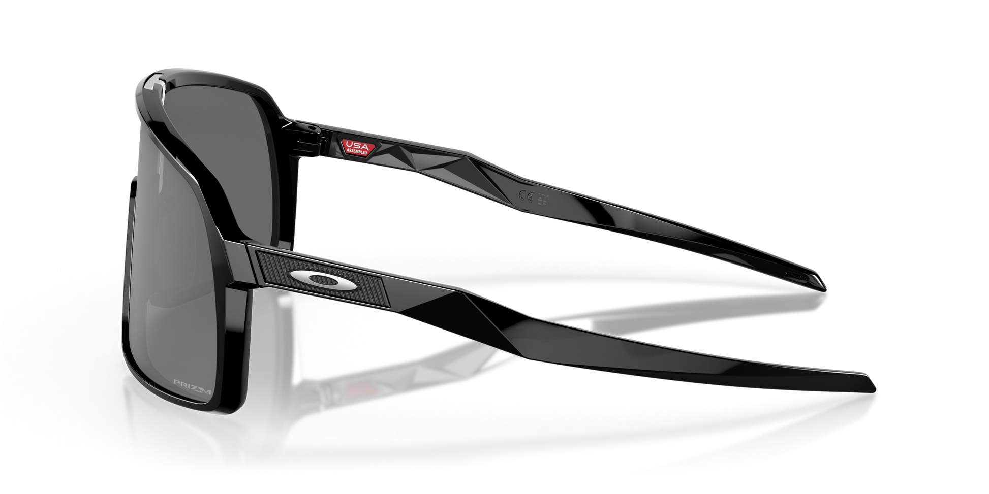 [Prizm Black Lenses, Polished Black Frame]