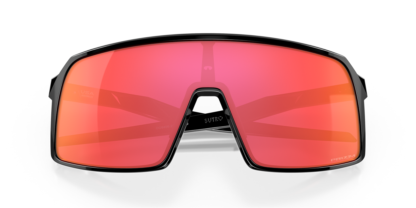 [Prizm Snow Torch Lenses, Polished Black Frame]