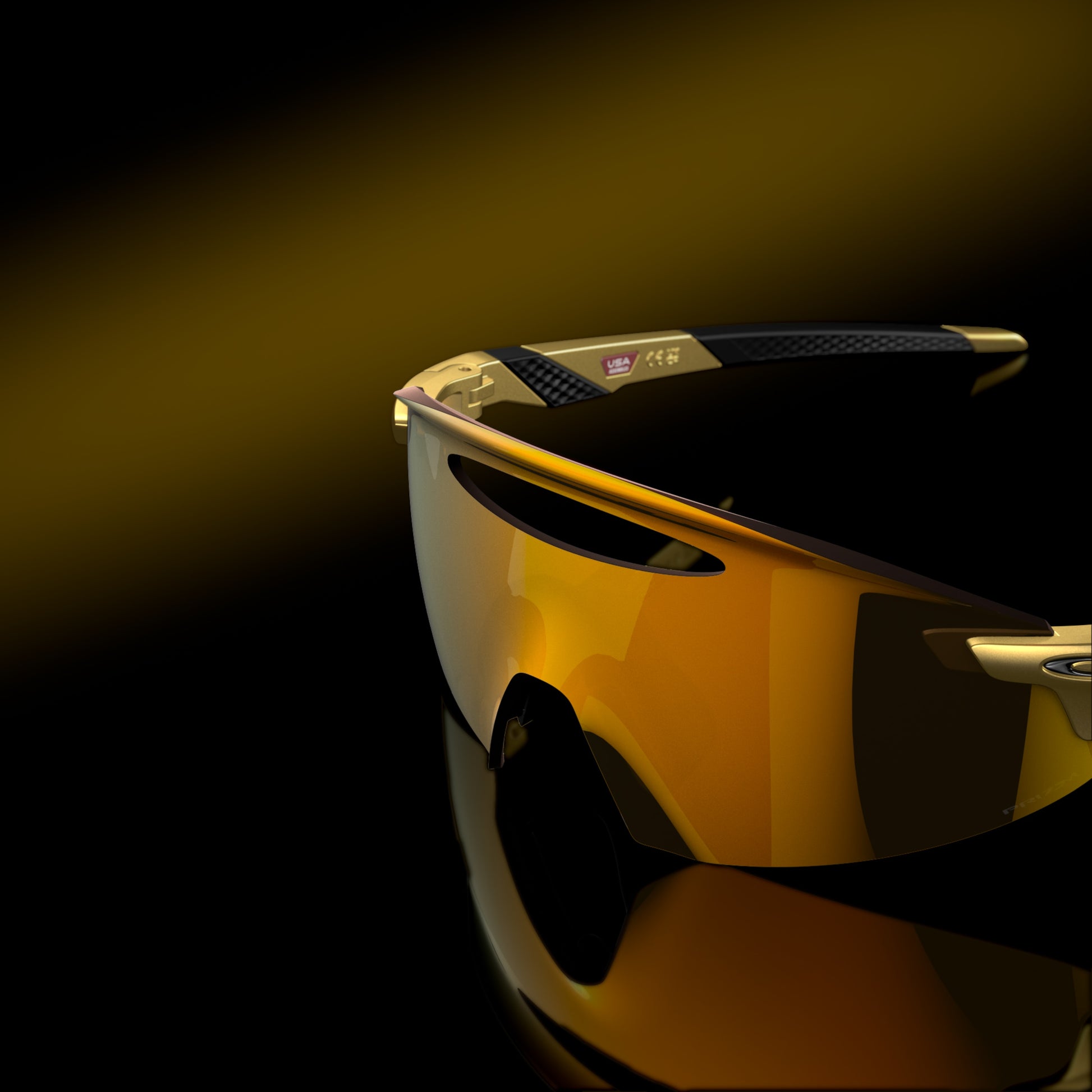 [Prizm 24K Lenses, Gold Frame]