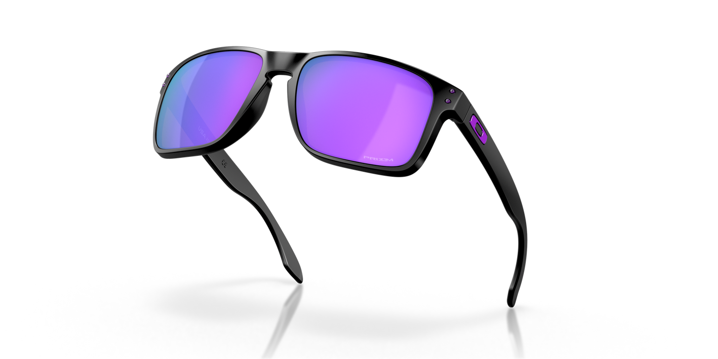 [Prizm Violet Lenses, Matte Black Frame]