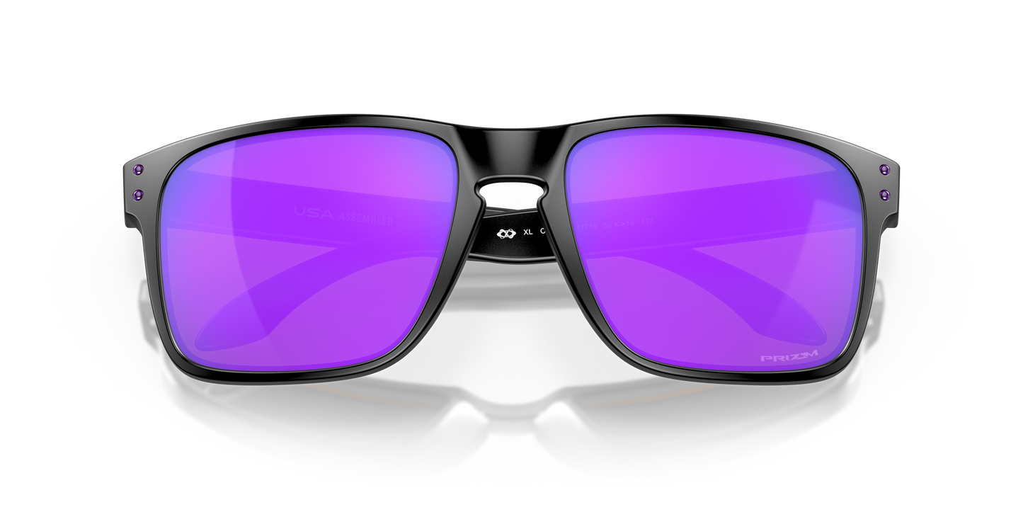 [Prizm Violet Lenses, Matte Black Frame]
