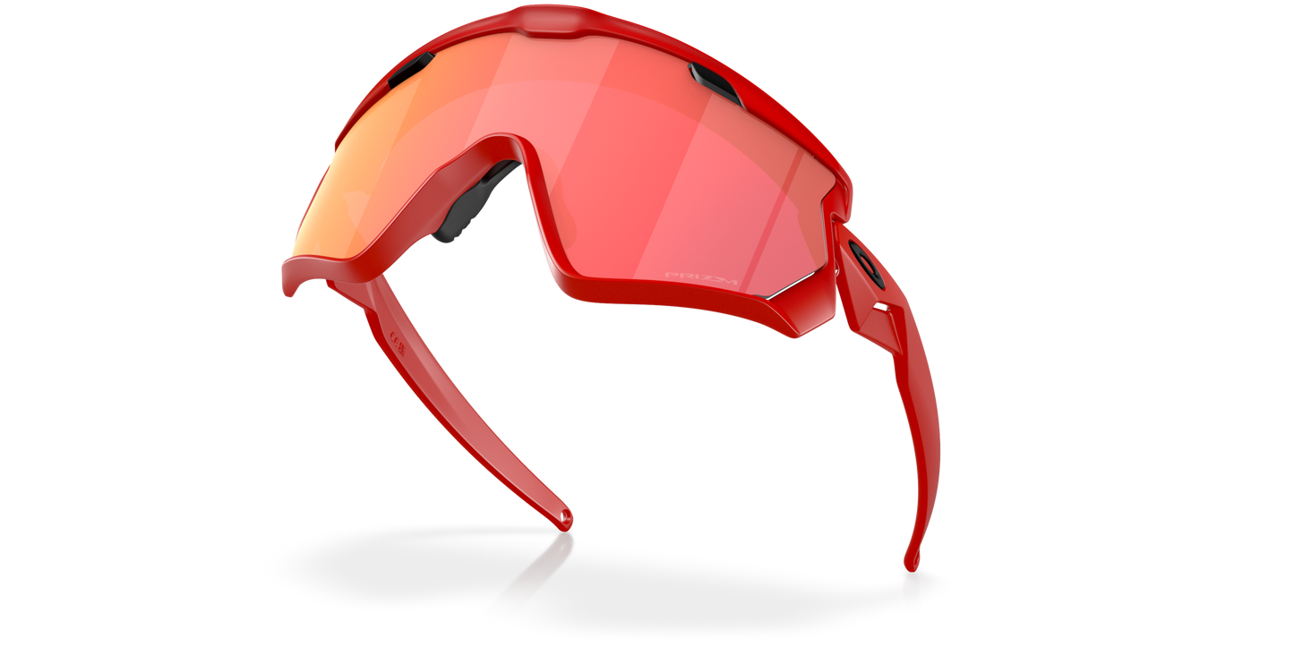 [Prizm Snow Torch Lenses, Matte Redline Frame]