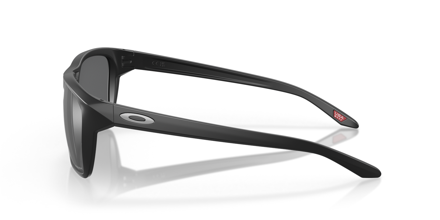 [Prizm Black Lenses, Matte Black Frame]