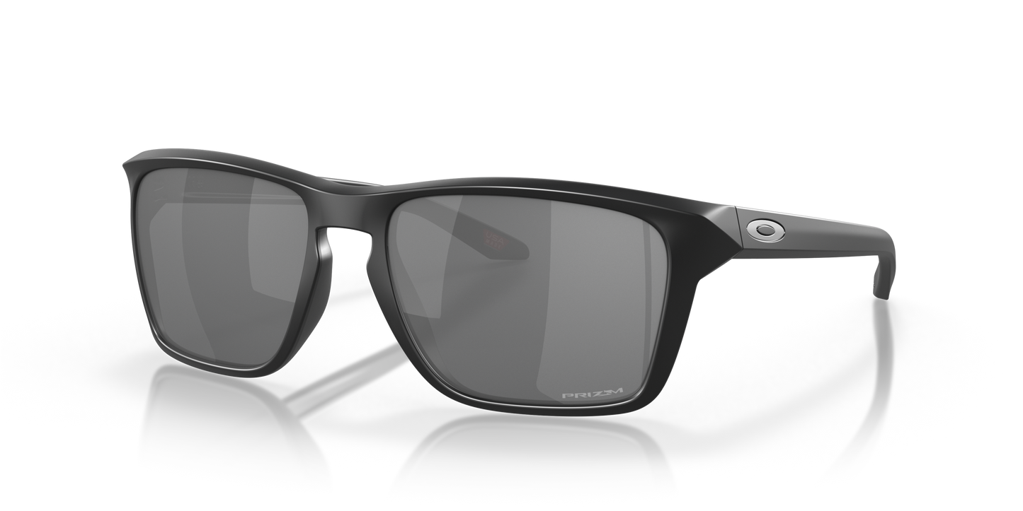 [Prizm Black Lenses, Matte Black Frame]
