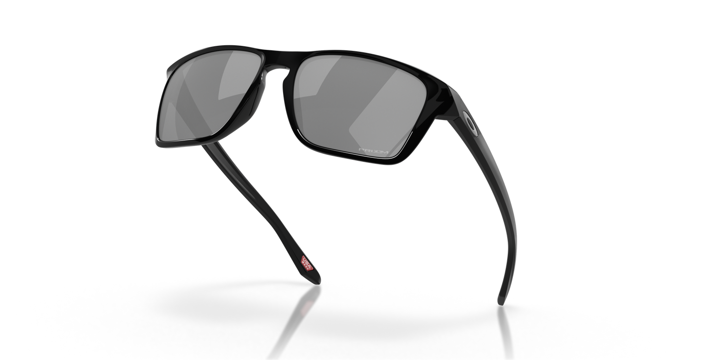 [Prizm Black Polarized Lenses, Polished Black Frame]
