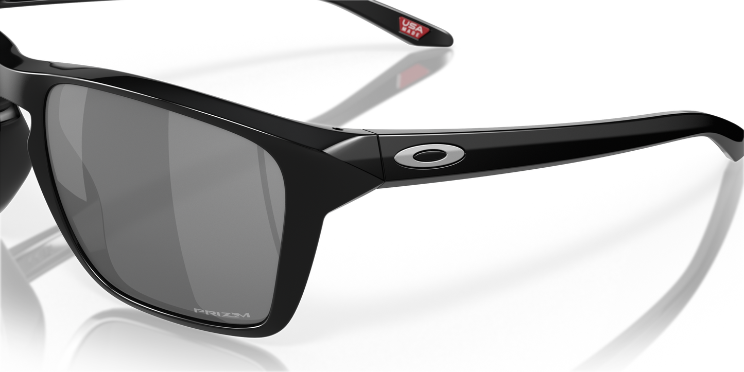 [Prizm Black Polarized Lenses, Polished Black Frame]