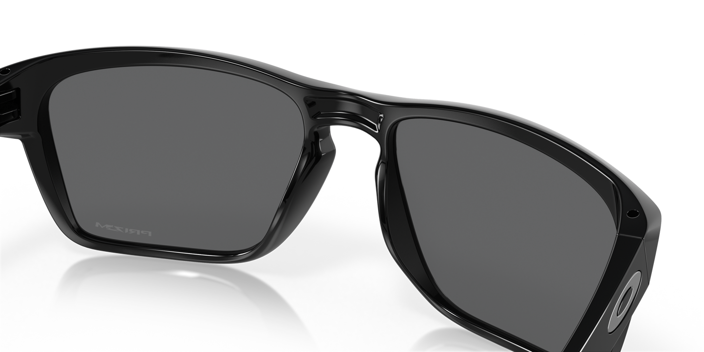 [Prizm Black Polarized Lenses, Polished Black Frame]
