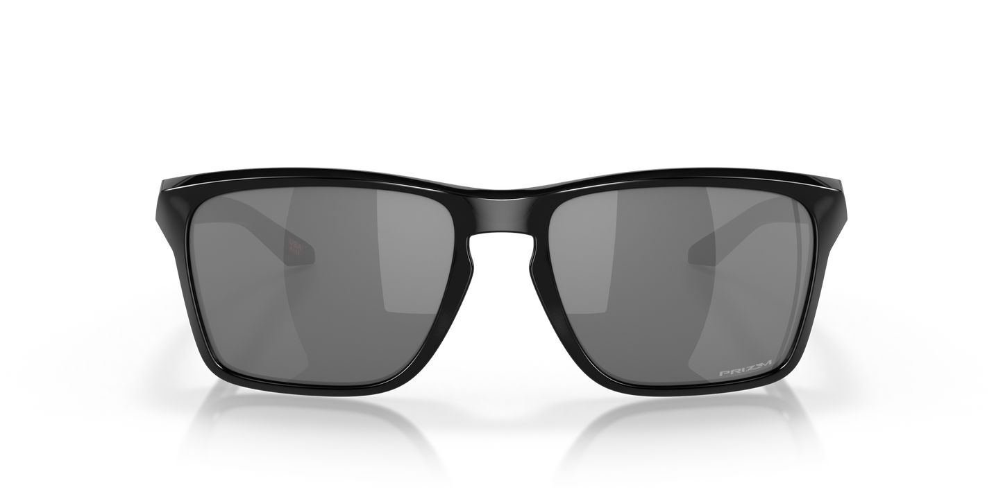 [Prizm Black Polarized Lenses, Polished Black Frame]
