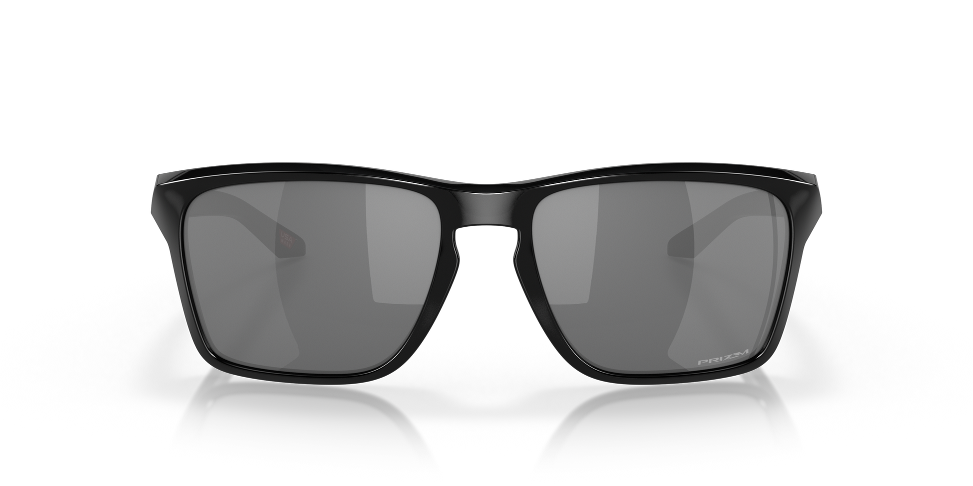 [Prizm Black Polarized Lenses, Polished Black Frame]