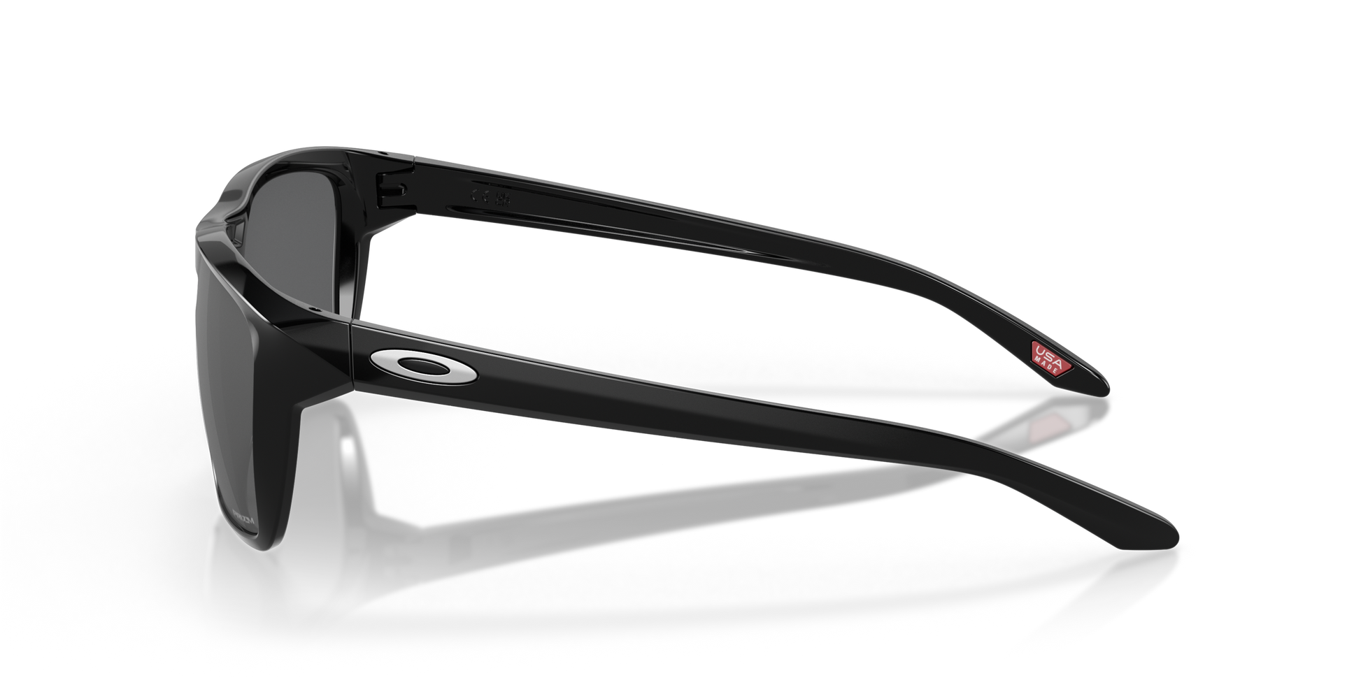 [Prizm Black Polarized Lenses, Polished Black Frame]