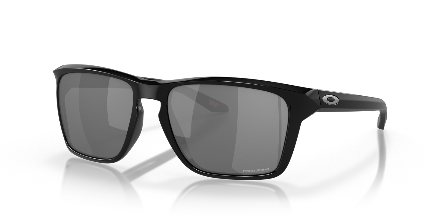 [Prizm Black Polarized Lenses, Polished Black Frame]