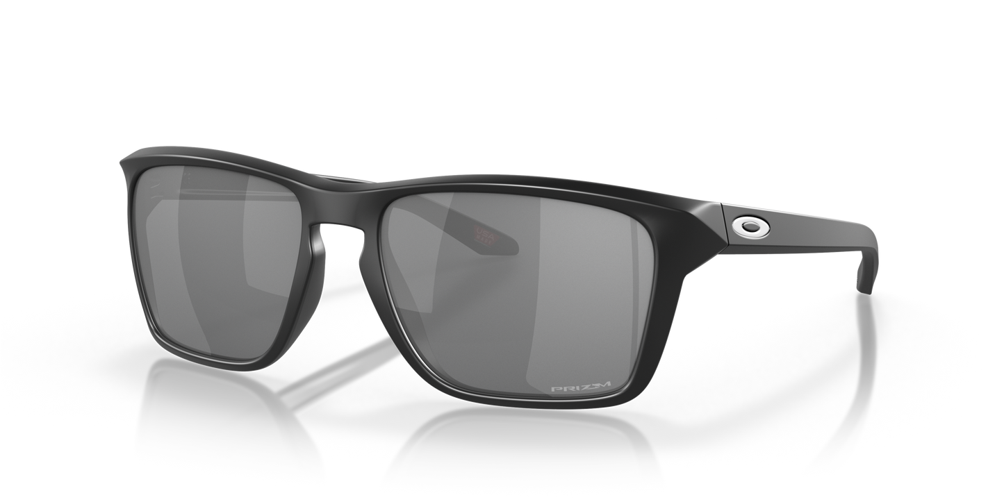 [Prizm Black Lenses, Matte Black Frame]