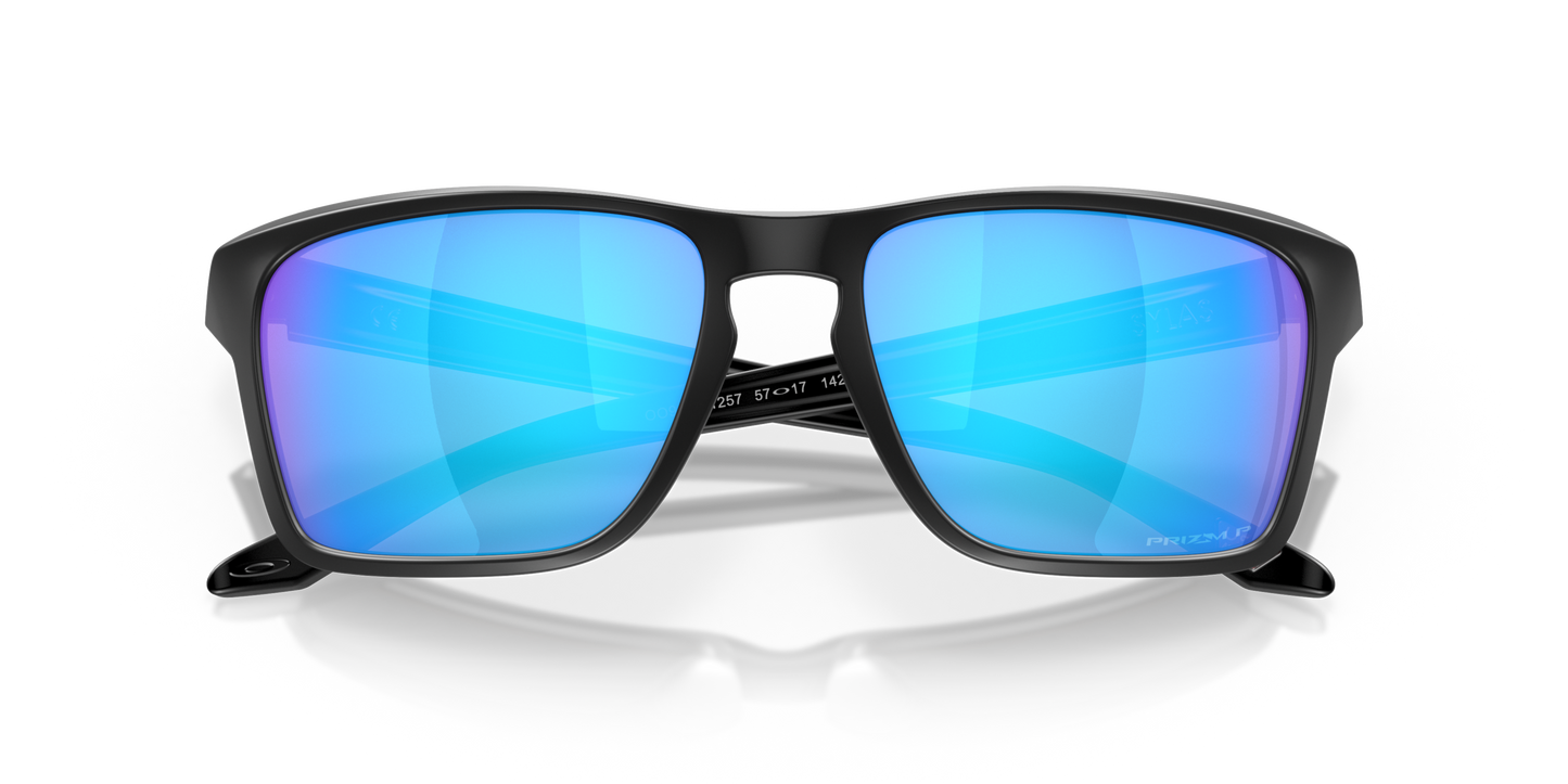 [Prizm Sapphire Polarized Lenses, Matte Black Frame]