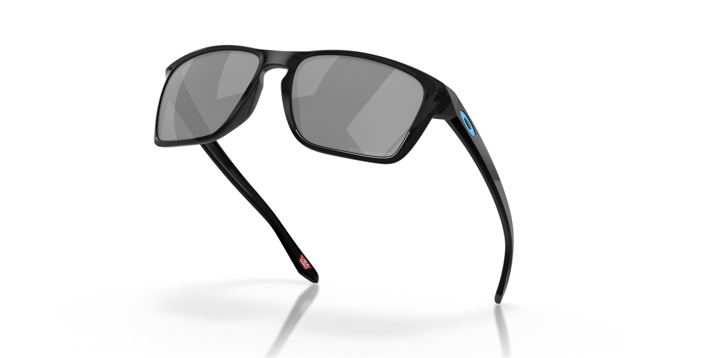 [Black Iridium Polarized Lenses, Black Ink Frame]