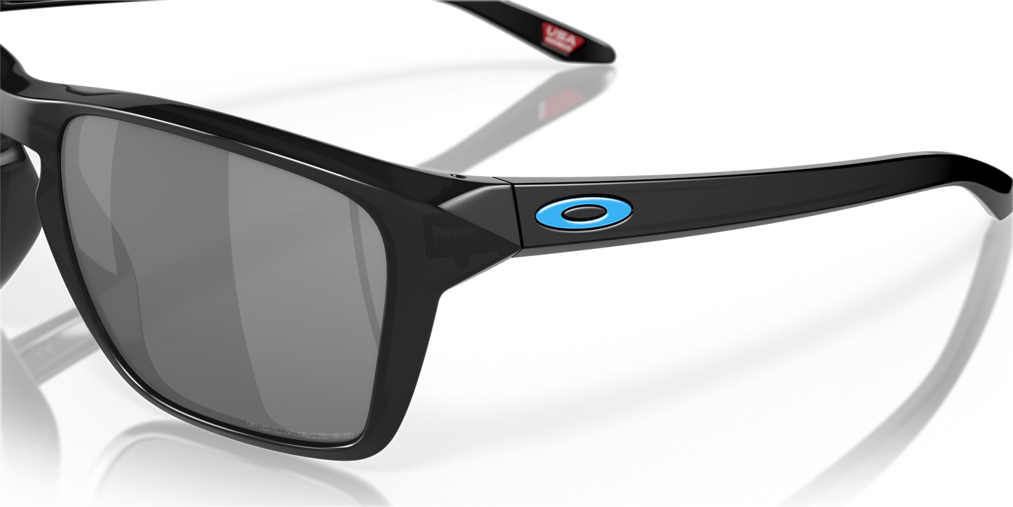 [Black Iridium Polarized Lenses, Black Ink Frame]