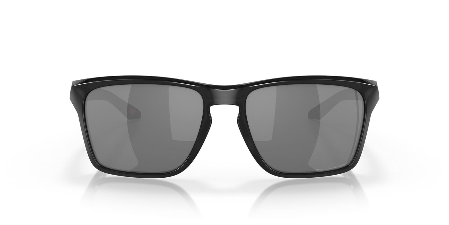 [Black Iridium Polarized Lenses, Black Ink Frame]