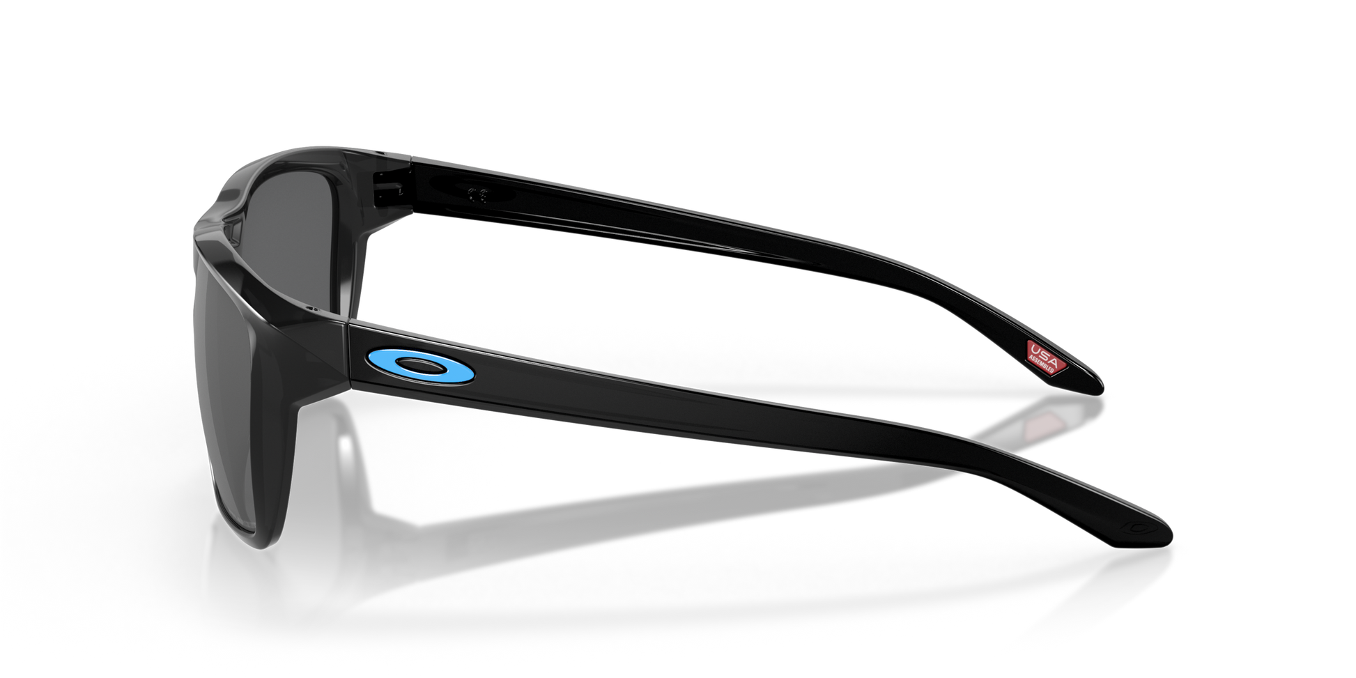 [Black Iridium Polarized Lenses, Black Ink Frame]