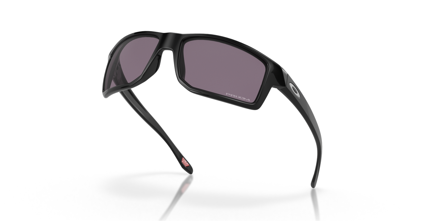 [Prizm Grey Lenses, Polished Black Frame]
