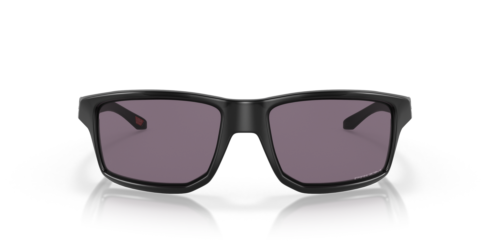 [Prizm Grey Lenses, Polished Black Frame]