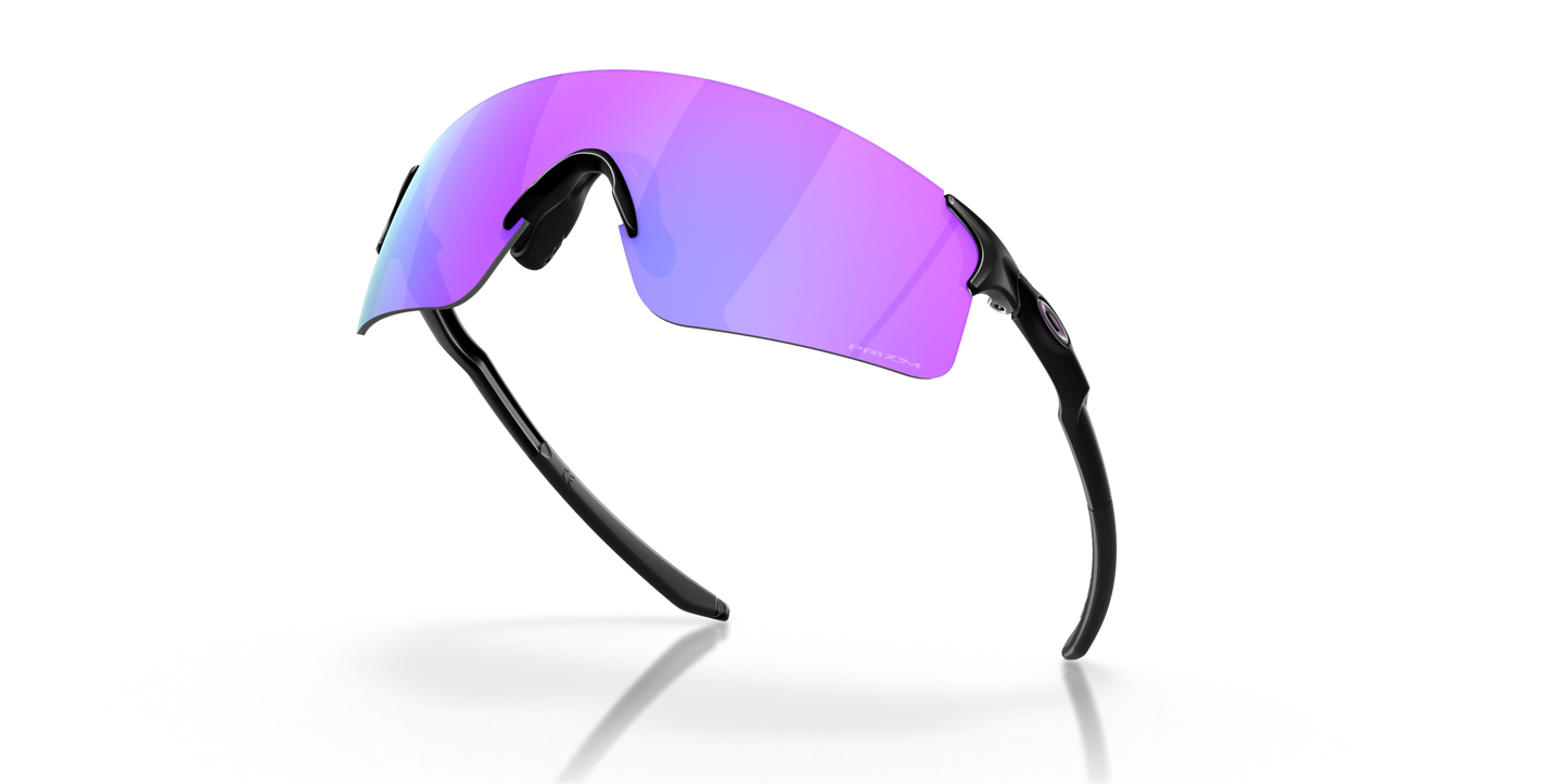 [Prizm Violet Lenses, Matte Black Frame]