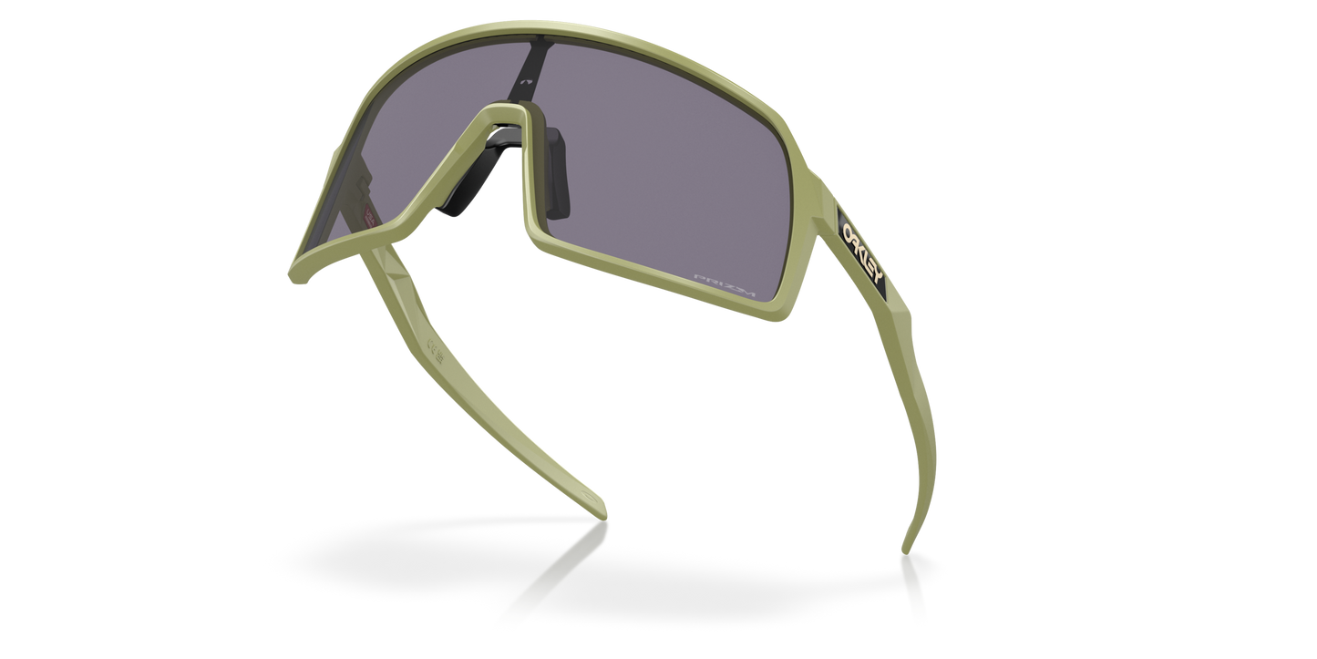 [Prizm Grey Lenses, Matte Fern Frame]